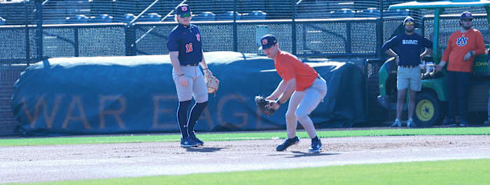 Auburn Baseball